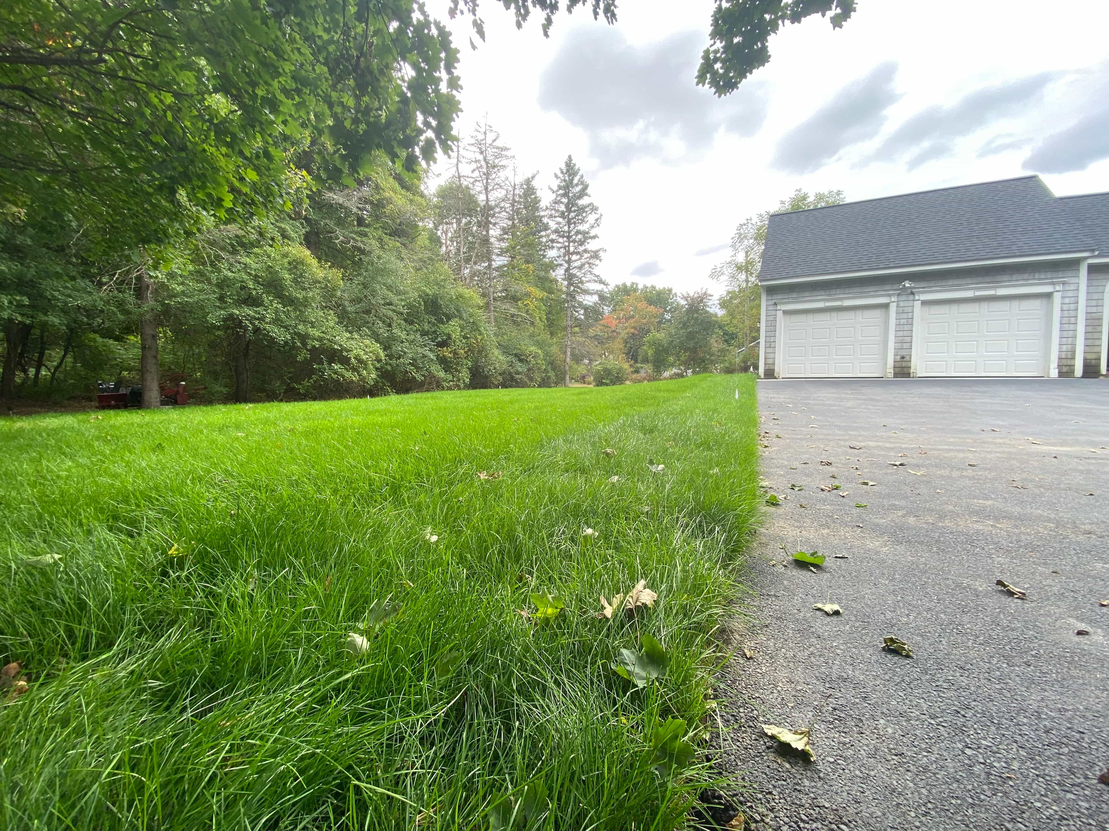 Hero image for Scialdone Horticultural Services