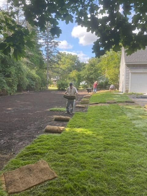 Quick Yard Makeover with 6000 sq ft Sod Installation