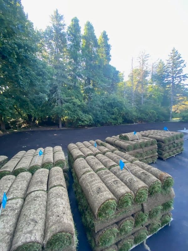 Quick Yard Makeover with 6000 sq ft Sod Installation