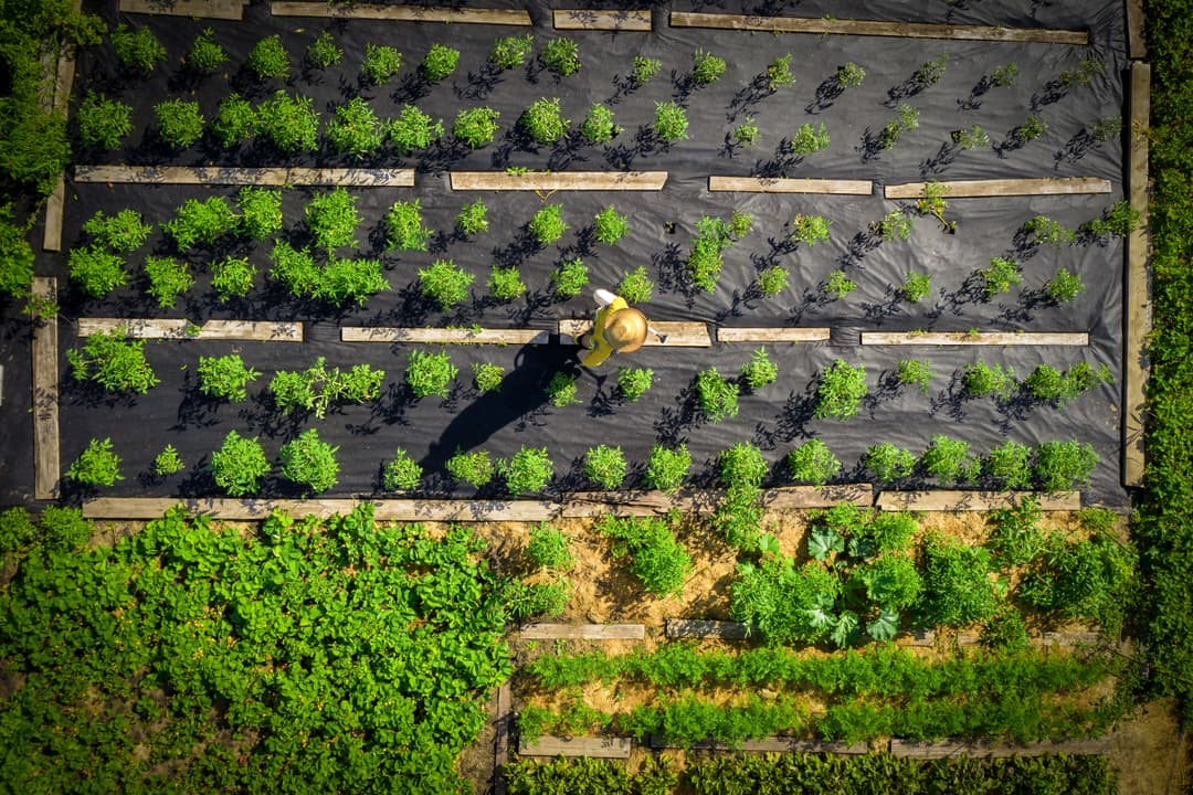 Discover Our Passion