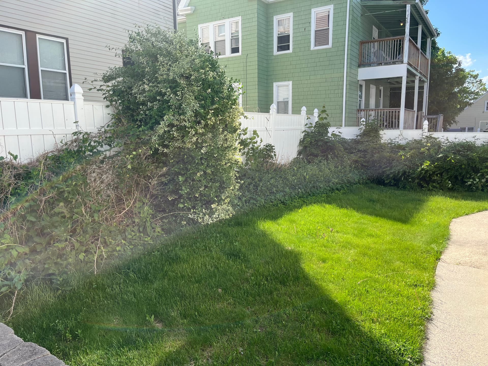 Overgrown Bed Cleared Out and Given a Full Fresh Start image